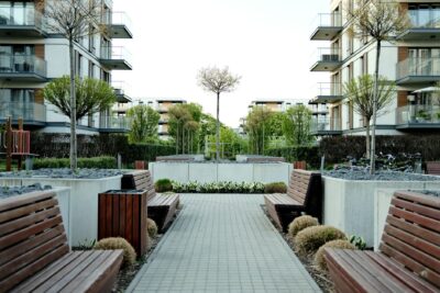 Restauration de la nature : ce que le plan français change pour les arbres et les espaces verts en ville