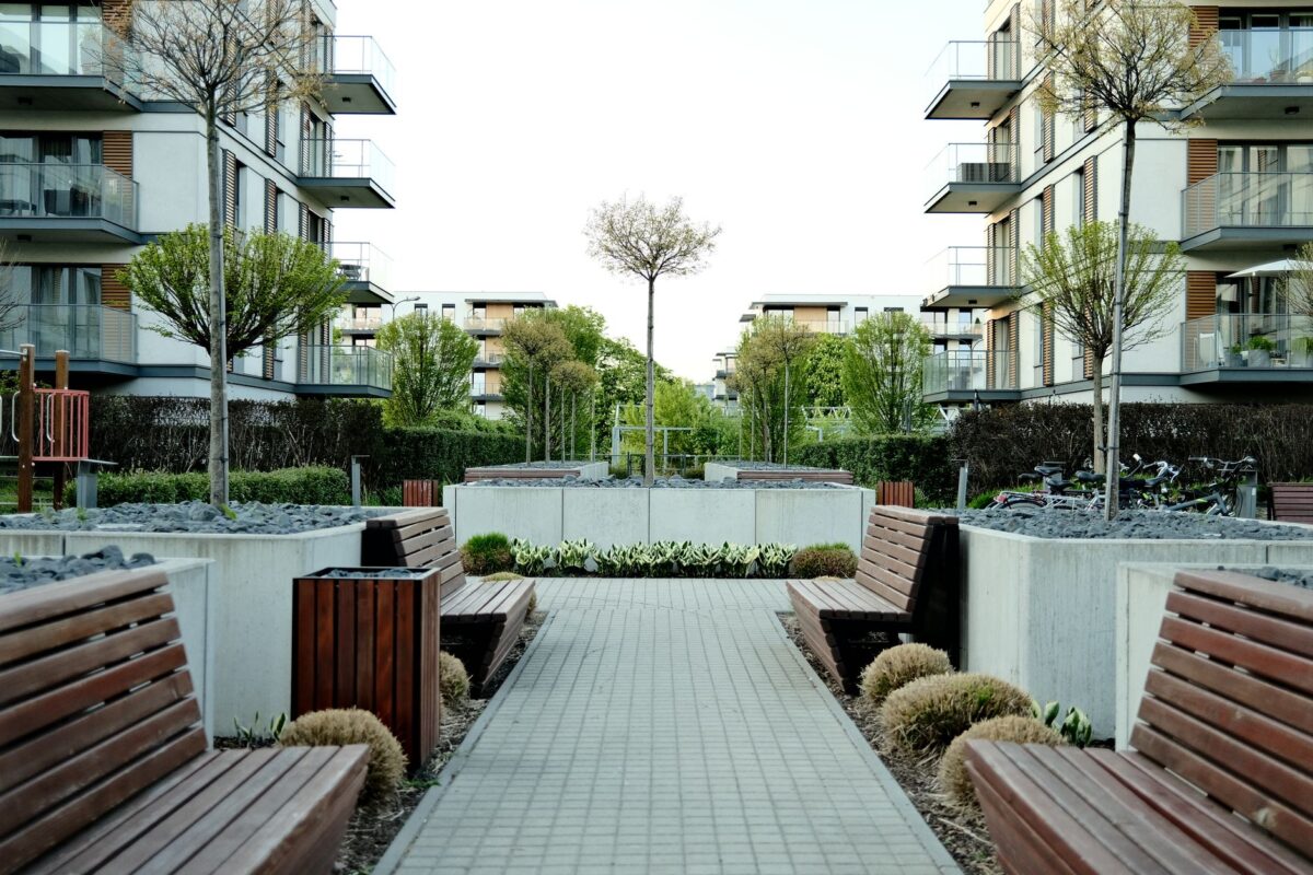 Restauration de la nature : ce que le plan français change pour les arbres et les espaces verts en ville