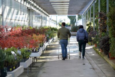 Les Automnales de Bergerac : la fête des plantes rares revient le dimanche 25 octobre